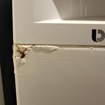 Samsung Çamaşır Makinesi Paslandı!