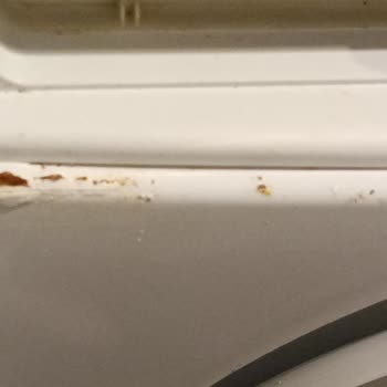 Samsung Çamaşır Makinesi Paslandı!