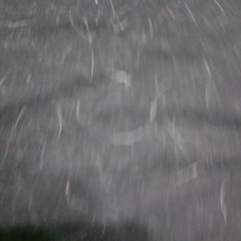 Biofeline Tüy Dökme Engelleyici İşe Yaramıyor