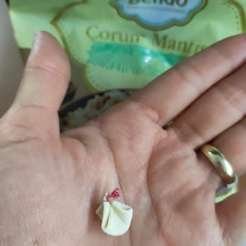 A101 Bendo Mantı Yapışık İp