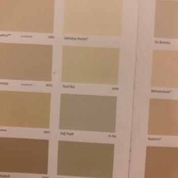 Filli Boya Renk Katalog Uyumsuzluğu