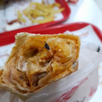 Öncü Döner Sinek Mi Desem Böcek Mi
