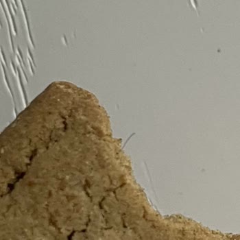 ebebek Bisküvide Kıl Çıktı