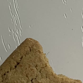 ebebek Bisküvide Kıl Çıktı