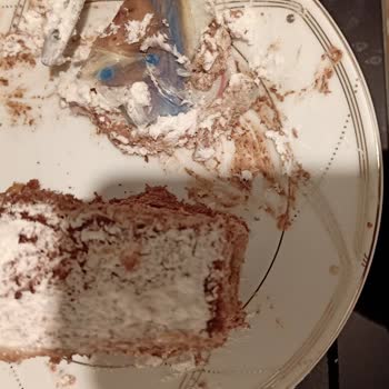 Dilek Pastanesi Doğum Günü Pastası