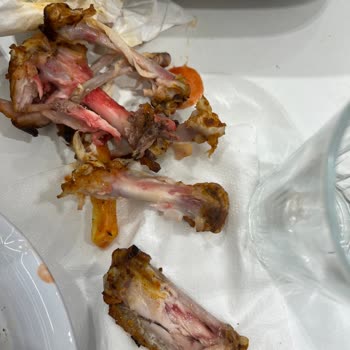 DönerY Çiğ Gelen Yemek Ve Geç Gelen Servis