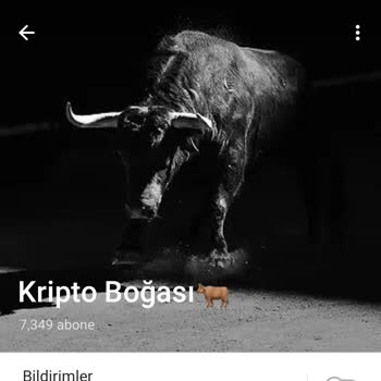 Telegram Kripto Kanalında Mağduriyetler