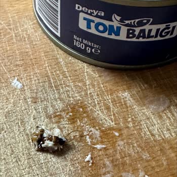 BİM Derya Ton Balığı İçinden Kocaman Böcek Çıktı