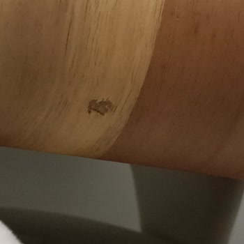 Ev Yaşam Mağazası