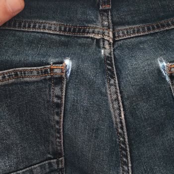 Colin's Kot Pantolon