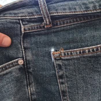 Colin's Kot Pantolon