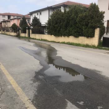 SASKİ Sapanca'da İhmal Edilen Su Patlağı Sorunu