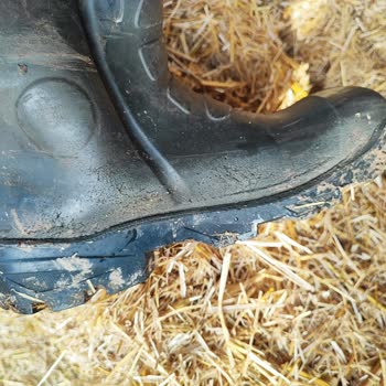 Polly Boot Çizme Kötü Performans