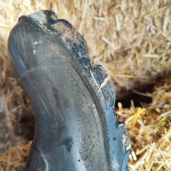 Polly Boot Çizme Kötü Performans