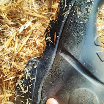 Polly Boot Çizme Kötü Performans