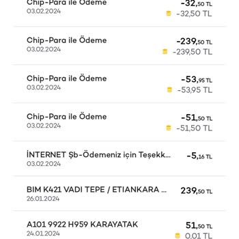 Akbank Chip Para Problemi