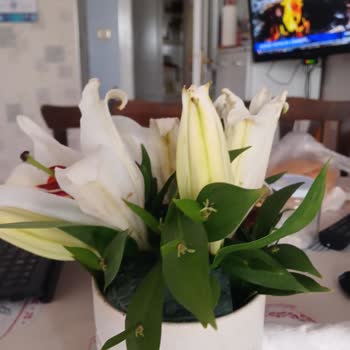 Ciceksepeti.net Para İadesini Yapın