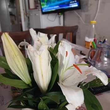 Ciceksepeti.net Para İadesini Yapın