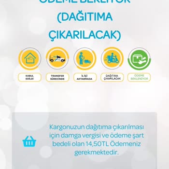 PTT Kargo Online Alışverişte Beklenmedik Ücret Sorunu