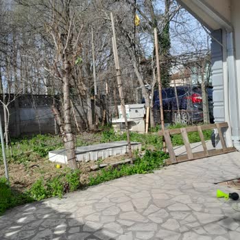 Adapazarı Belediyesi Bahçedeki Arı Kovanı Sorunu