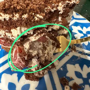 Liva Pastanesi (livashop.com) Verilen Siparişin Küflü Oluşu