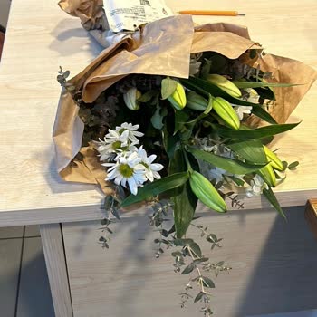 Lilyana Flowers Pişmanlıktır. Rezil Olma Garantisi Var.