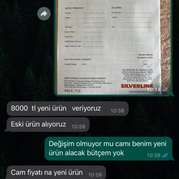 Silverline Paramla Onarım Yapamıyorum.