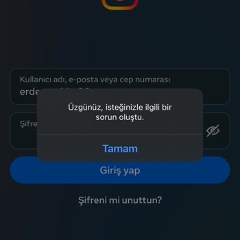 Instagram Üzgünüz İsteğinizle İlgili Sorun Oluştu Hatası