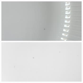 Masvil İle Sorunum Çözülmesini İstiyorum