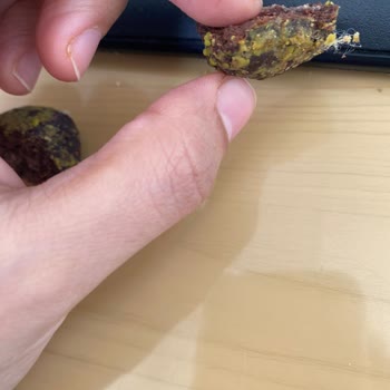 Züber Lokma İçinde Tüy