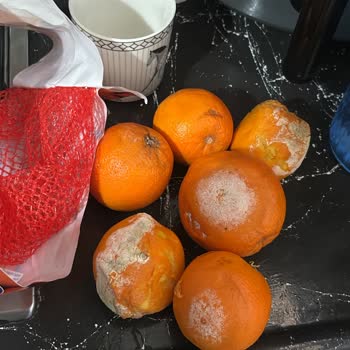 A101 Kapıda Uygulaması Mağduriyeti