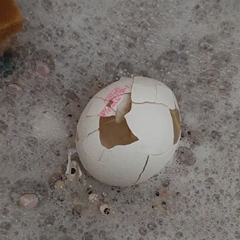 Yemeksepeti Kokmuş Çürümüş Böceklenmiş Bayat Ürünlerle Sıktınız Artık