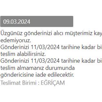 MNG Kargo Mersin İçi Kargo Teslimatında Yaşanan Gecikme Ve İletişim Sorunu