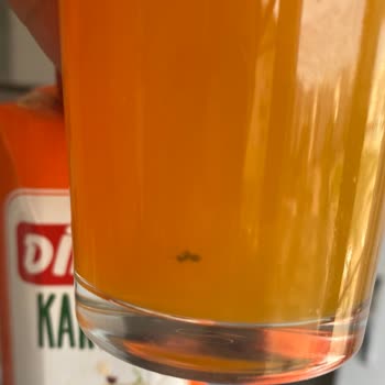 Dimes Meyve Suyundan Böcek Çıktı!