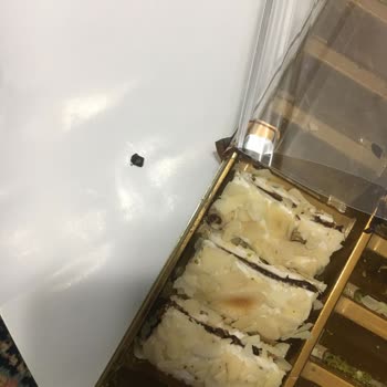 Tuğba Kuruyemiş Antep Rüyasından Çıkan Sert Cisim