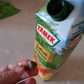 Tamek Meyve Suyundan Çıkan Küf Çürük Gibi Maddeler Var Şikayetçiyim