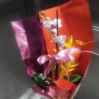 Taze Çiçek (tazecicek.com) Hayal Kırıklığı: Görselle Uyuşmayan Çiçek Siparişi