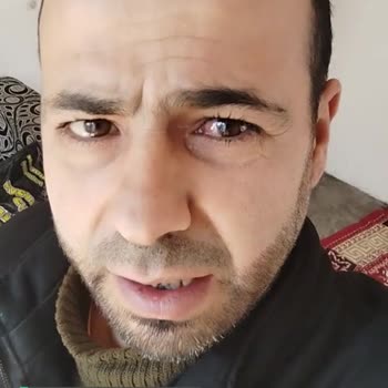 Tarım Ve Orman Bakanlığı Güvercin Biti Eve Doldu,  Lütfen Acil Müdahale İstiyorum