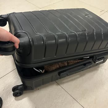 Türk Hava Yolları Kayıp Eşya, Bagaj