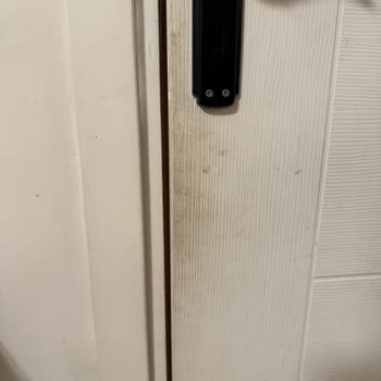 Ck Sapanca Villanın Hijyen Yoksunluğu