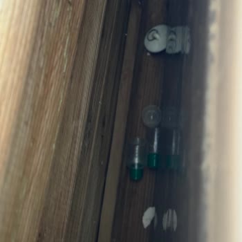 Ck Sapanca Villanın Hijyen Yoksunluğu