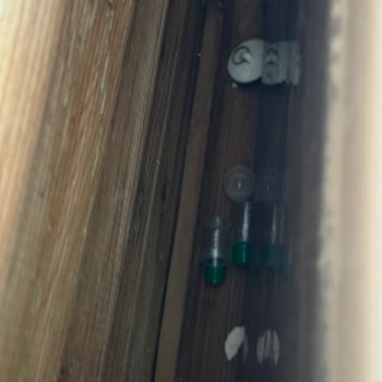 Ck Sapanca Temizlik, Hijyen Ve Havuz Soğukluğu