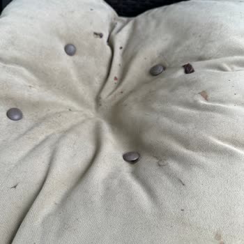 Ck Sapanca Temizlik, Hijyen Ve Havuz Soğukluğu