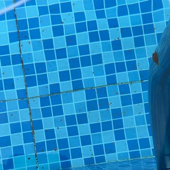 Ck Sapanca Temizlik, Hijyen Ve Havuz Soğukluğu