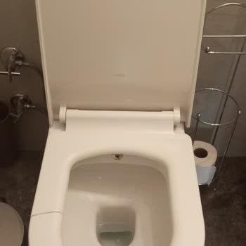 Kale Klozet Oturma Bölümü Kırılması