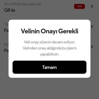 Papara Veli Onayı İptali