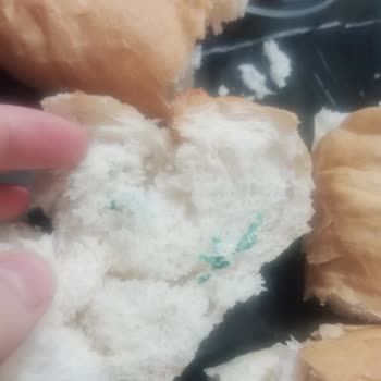 BİM Ekmekten Böcek Ve İp Çıktı