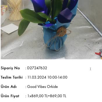 Taze Çiçek - Orkide Siparişi