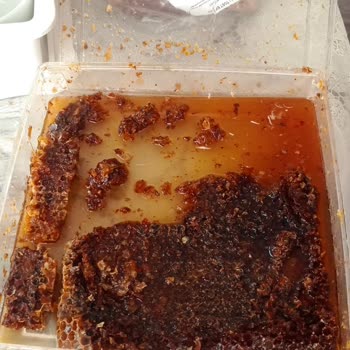 Pehlivandatca.com İnternetten Alınan Gıda Ürünlerinde Kalite Sorunları