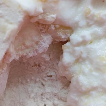 Dr. Oetker Poğaça Hamurundan Çıkan Böcekler